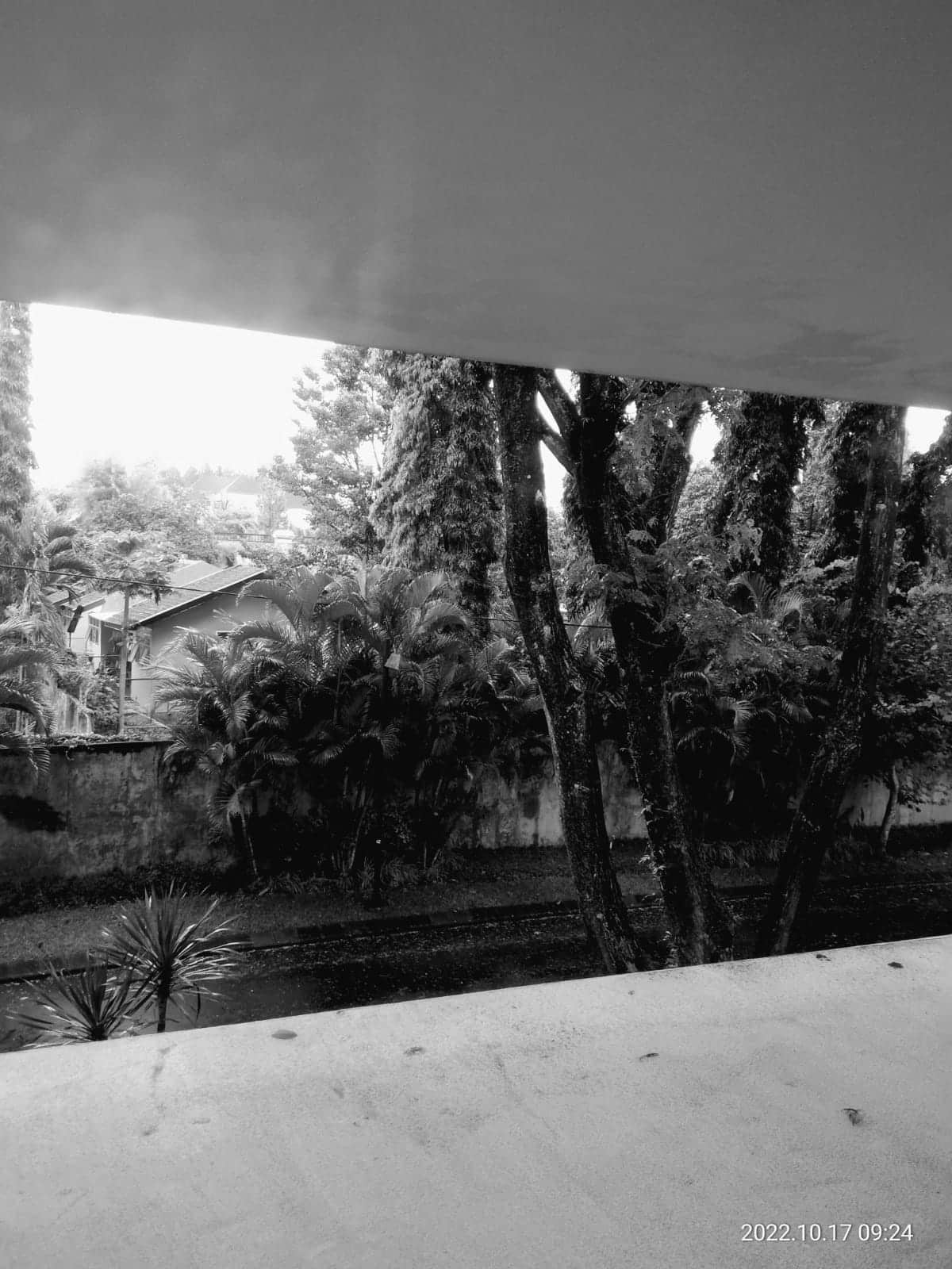 Rasa Kasa – Bima Anugerah, Mahasiswa Teologi STT SAAT