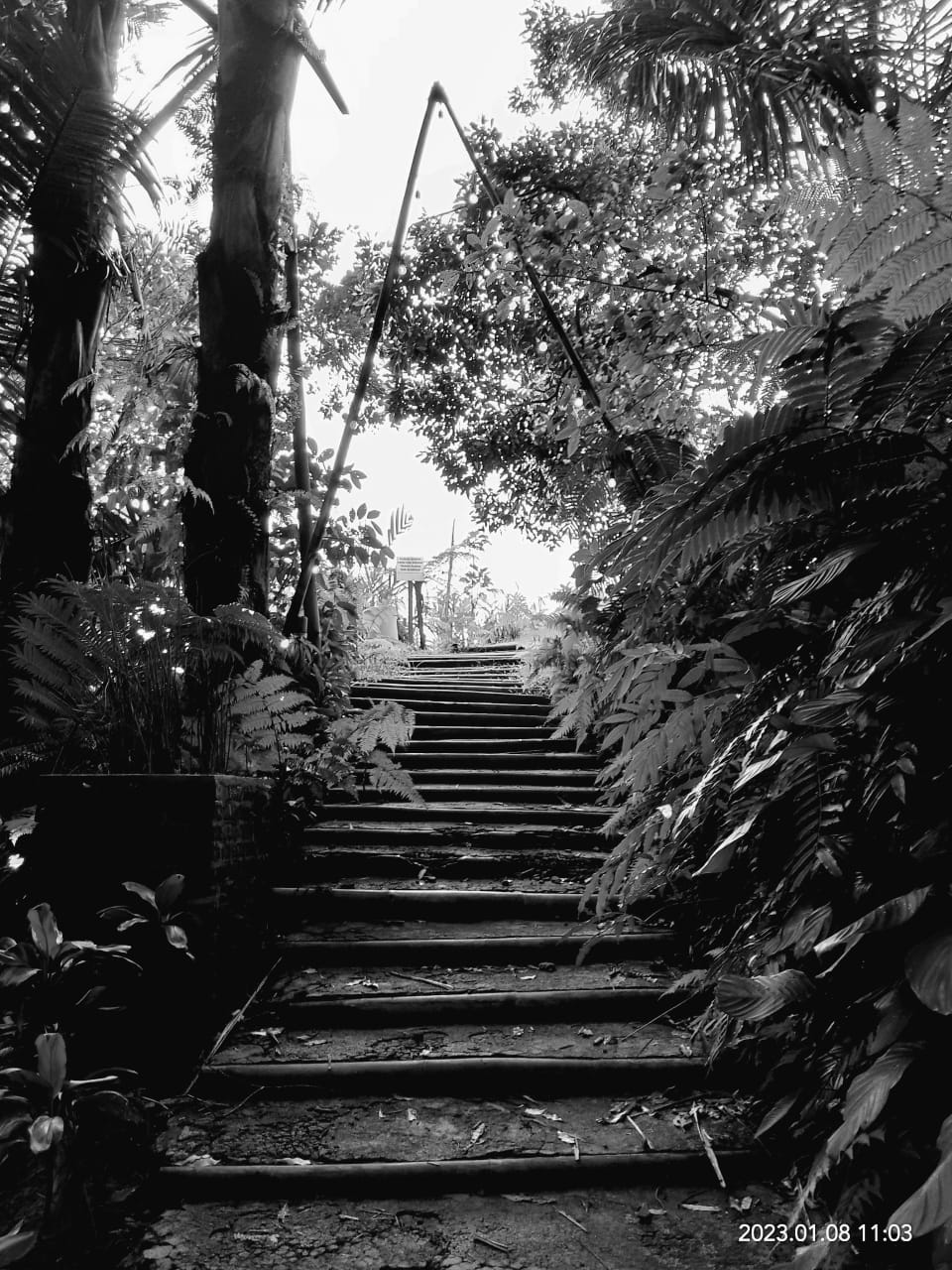 Dia puisi – Bima Anugerah, Mahasiswa Teologi STT SAAT